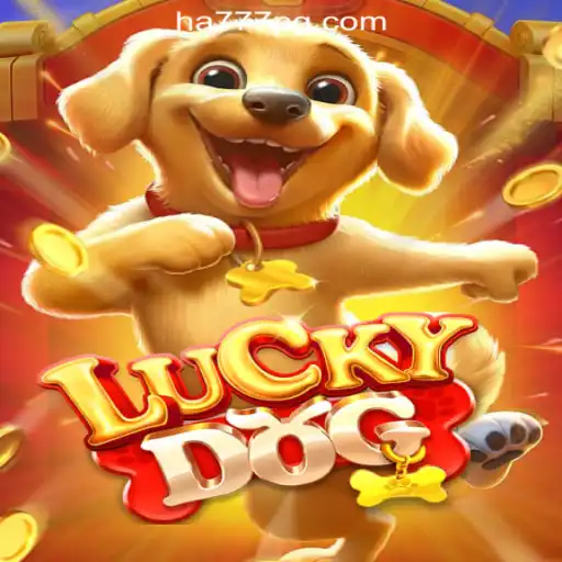 Explore LuckyDog: The Ultimate Gaming Experience with HA777.com Oficial Slots Brasil #1